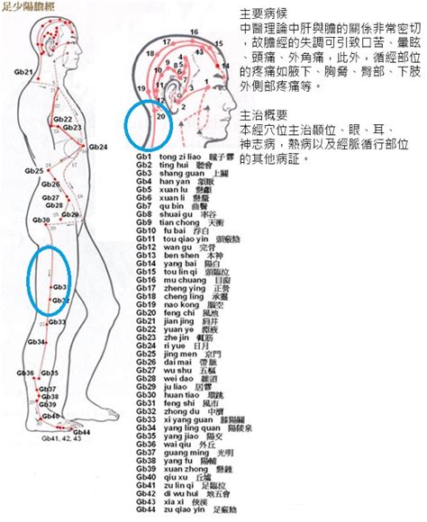 耳朵有聲音|耳鳴是耳朵聽到持續而高頻的聲音，4大類原因報你知…